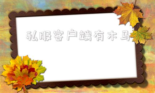 私服客户端有木马为什么私服都有木马
