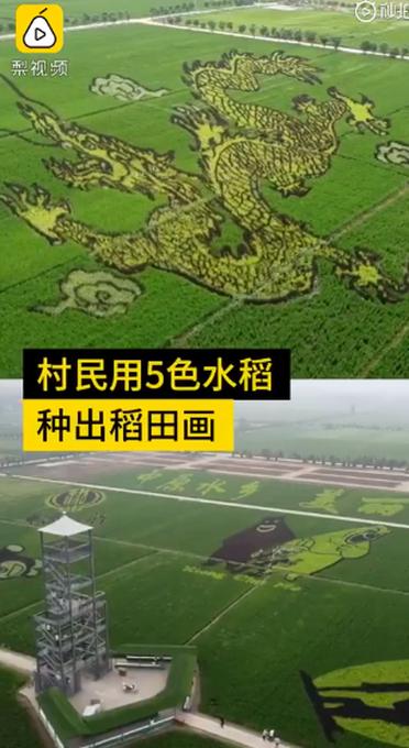 手机版村民有什么用烦人的村民50手机启动器